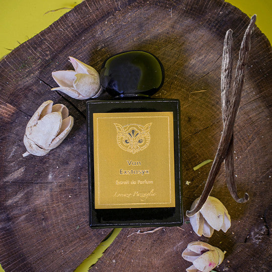 Lorenzo Pazzaglia Van Exstasyx 50ml
